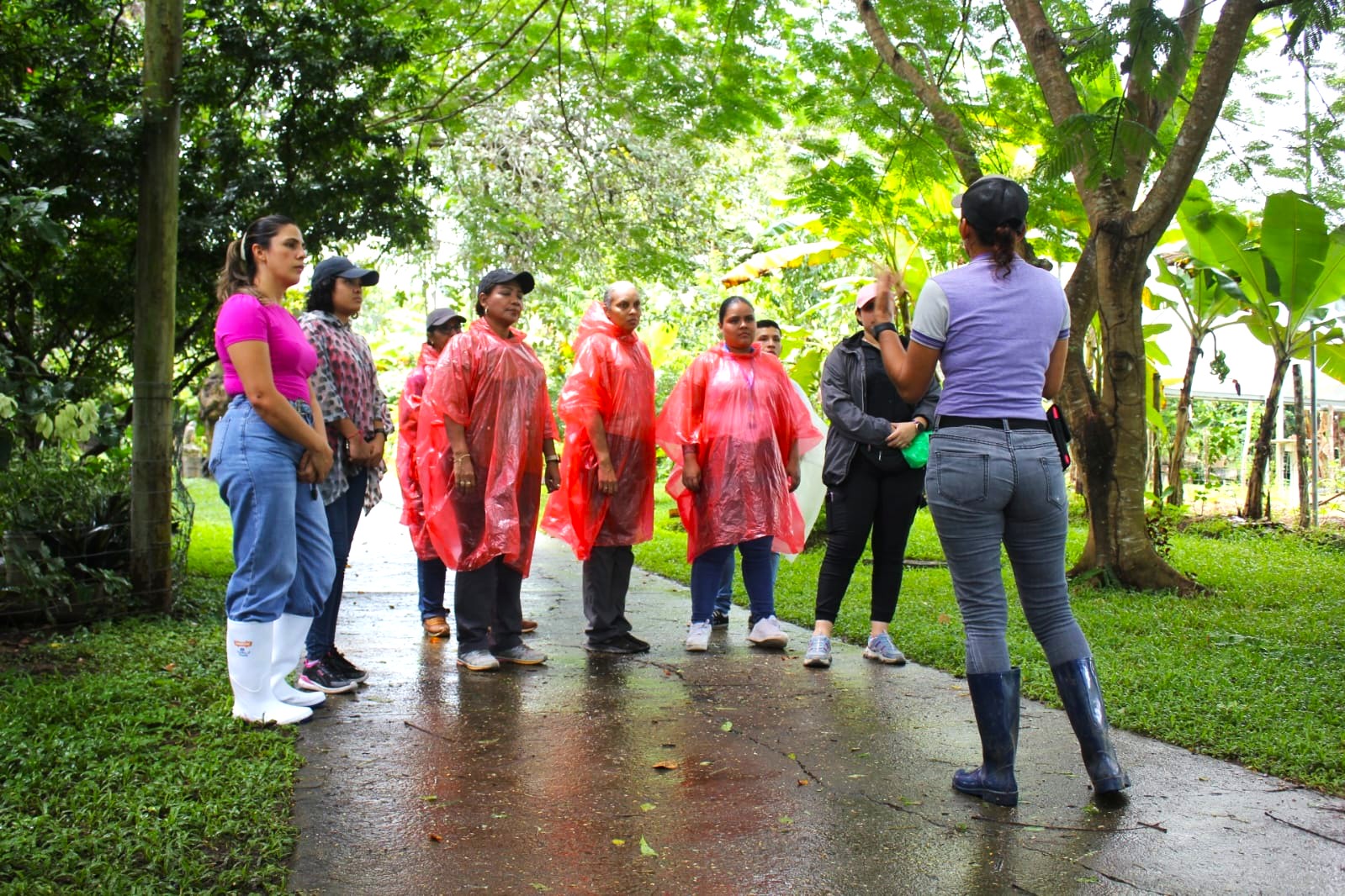 En 2025 se incrementan las fincas Agro Turísticas en Panamá