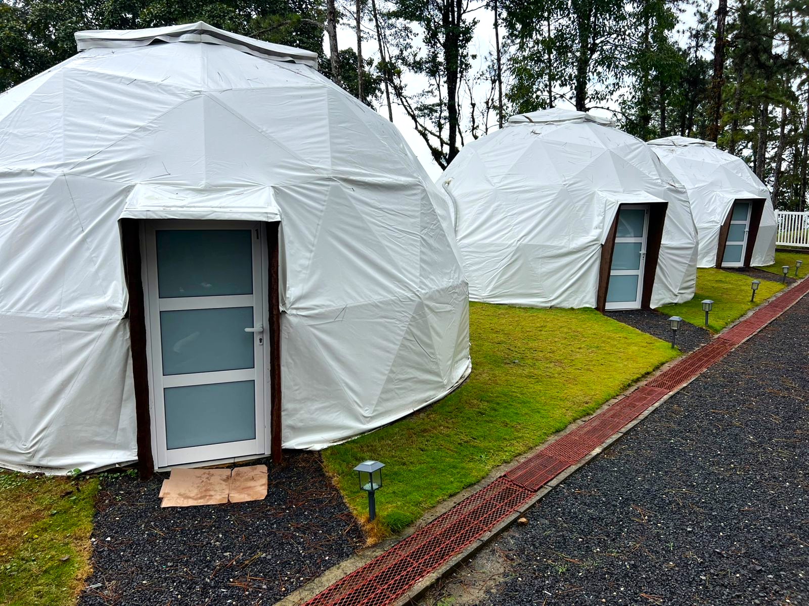 Reggaesero Kafú Banton incursiona en turismo